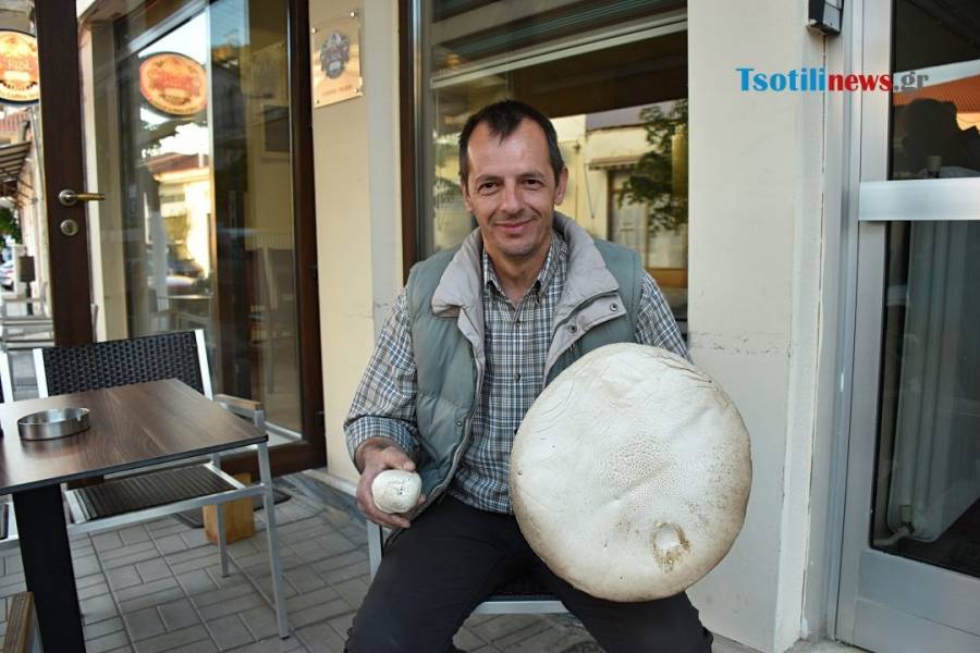 Δείτε το μανιτάρι-γίγας που βρέθηκε στον Αυγερινό Κοζάνης