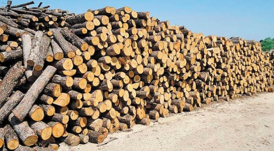 Ευχαριστήρια επιστολή της Ένωσης Δασικών Συνεταιρισμών Γρεβενών προς τον βουλευτή του νομού