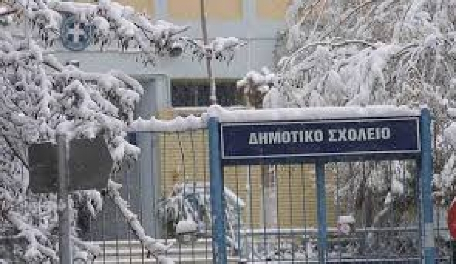 H λειτουργία των σχολείων Πρωτοβάθμιας Εκπαίδευσης στο Δήμο Δεσκάτης