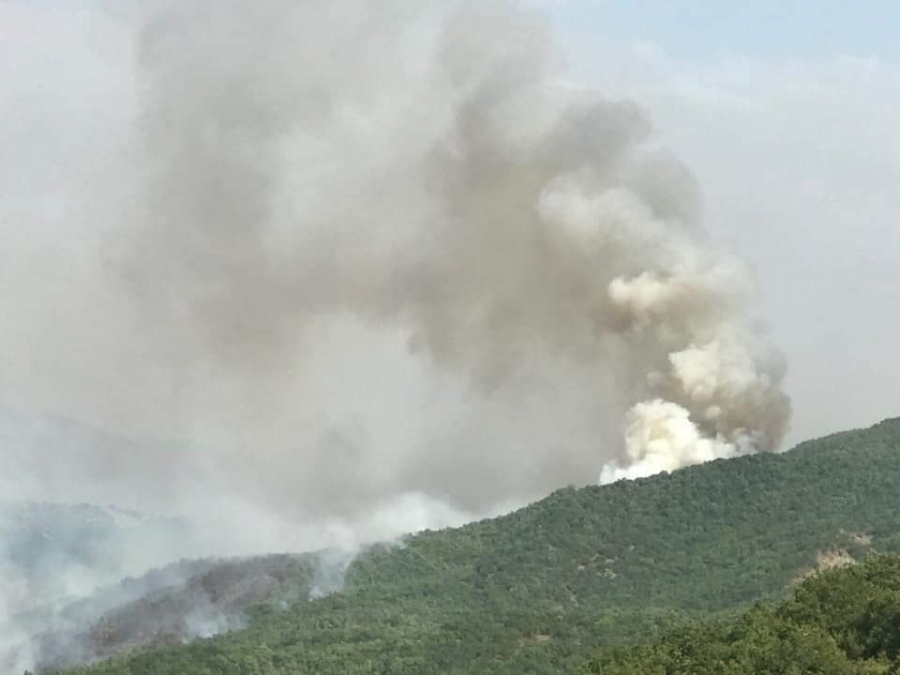 Συνεχίζει να καίει η φωτιά σε δασική έκταση κοντά στο Καρπερό (VIDEO)