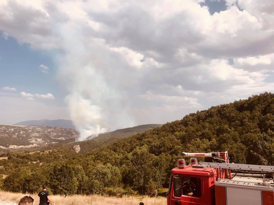 Σε εξέλιξη φωτιά σε δασική έκταση του Φελλίου Γρεβενών