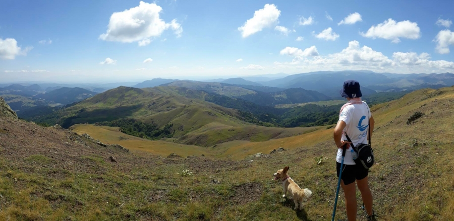 Ο ΧΟΣΓ διοργανώνει ορειβατική εκδρομή για μικρούς και μεγάλους από το χωριό Αβδέλλα προς την κορυφή του Όρους Βασιλίτσα