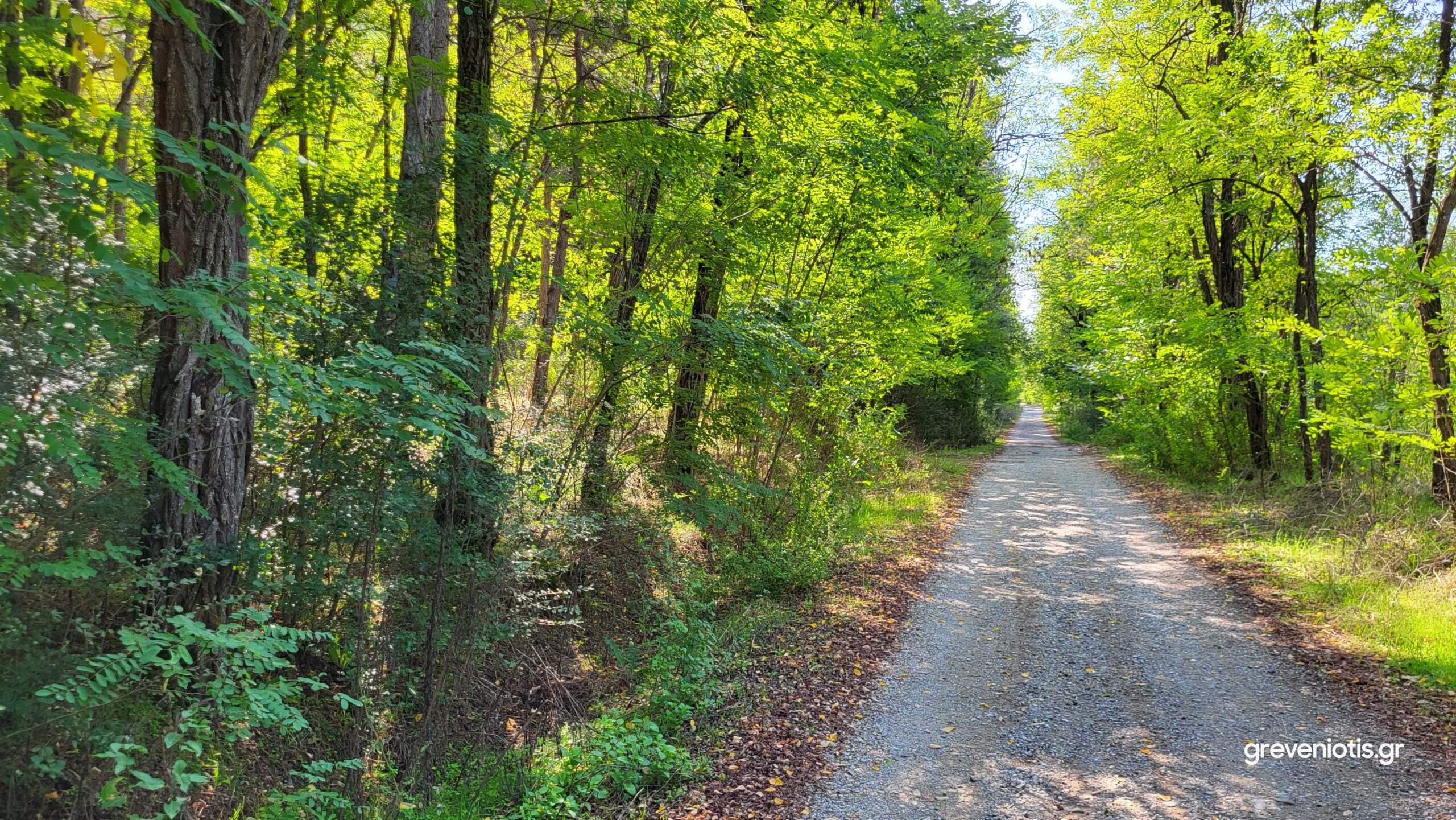 ΑΠΑΓΟΡΕΥΣΗ ΚΥΚΛΟΦΟΡΙΑΣ σε άλση και δασικά οικοσυστήματα