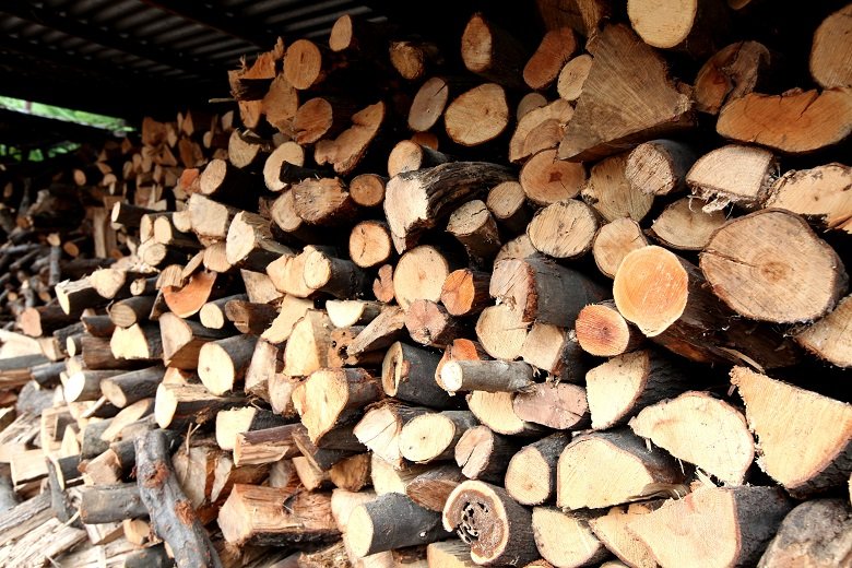 Χορήγηση καυσόξυλων ατομικών αναγκών μονίμων κατοίκων οικισμού Καλαμιτσίου του Δήμου Γρεβενών