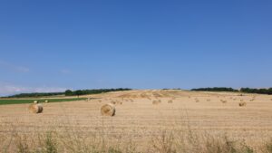 Υπουργείο Γεωργίας….τα ασυγχώρητα τα λάθη, τα μεγάλα του  Τα «Πάθη» της Ελληνικής Γεωργίας, (4ο μέρος)