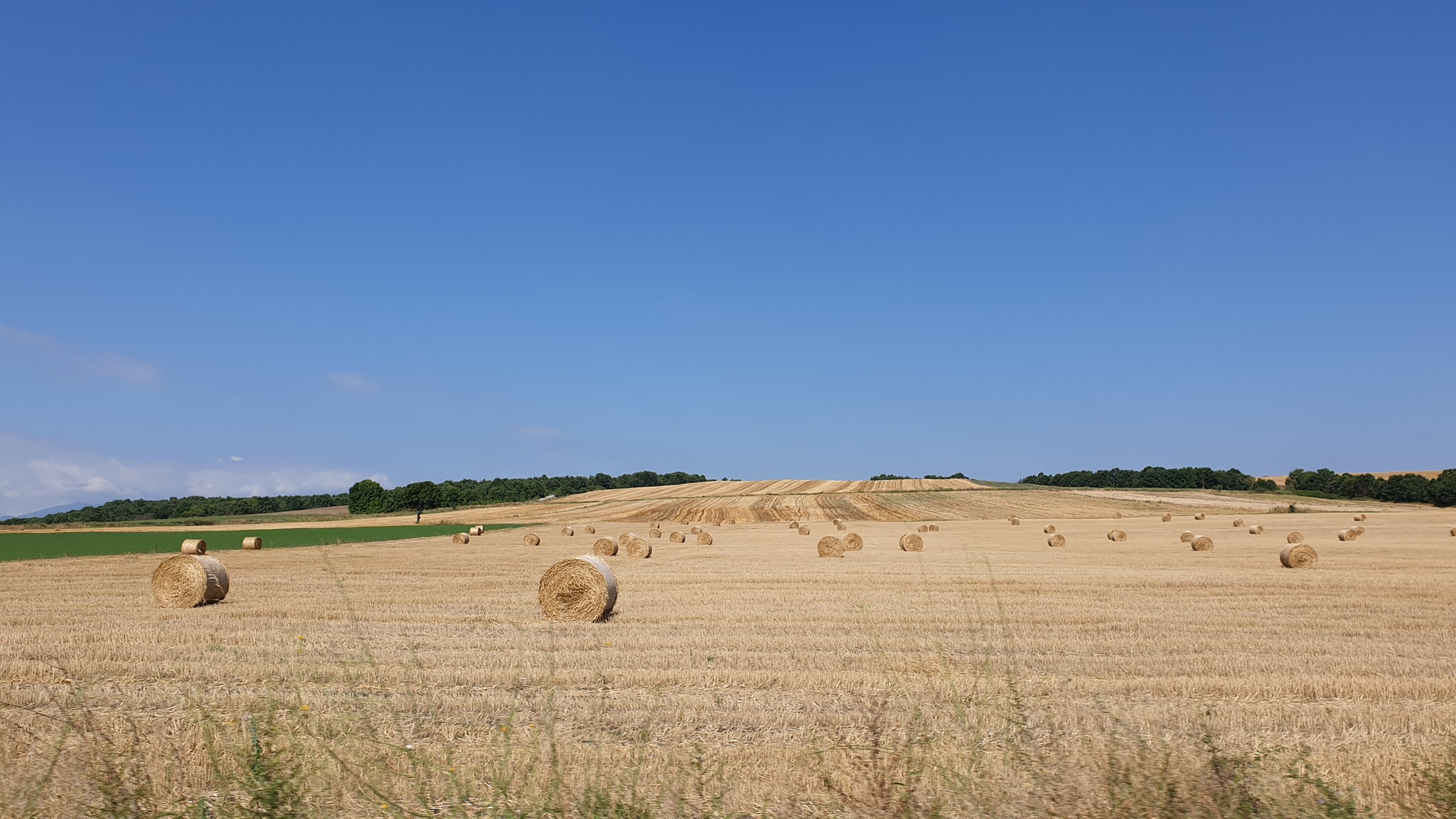 Υπουργείο Γεωργίας….τα ασυγχώρητα τα λάθη, τα μεγάλα του  Τα «Πάθη» της Ελληνικής Γεωργίας, (4ο μέρος)