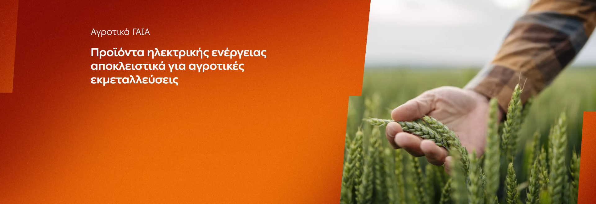 ΔΕΗ: Αγροτικά προϊόντα «ΓΑΙΑ» από 0,093€/kWh σταθερή τιμή για 2 χρόνια – Έως 26 Ιουνίου η δυνατότητα αιτήσεων