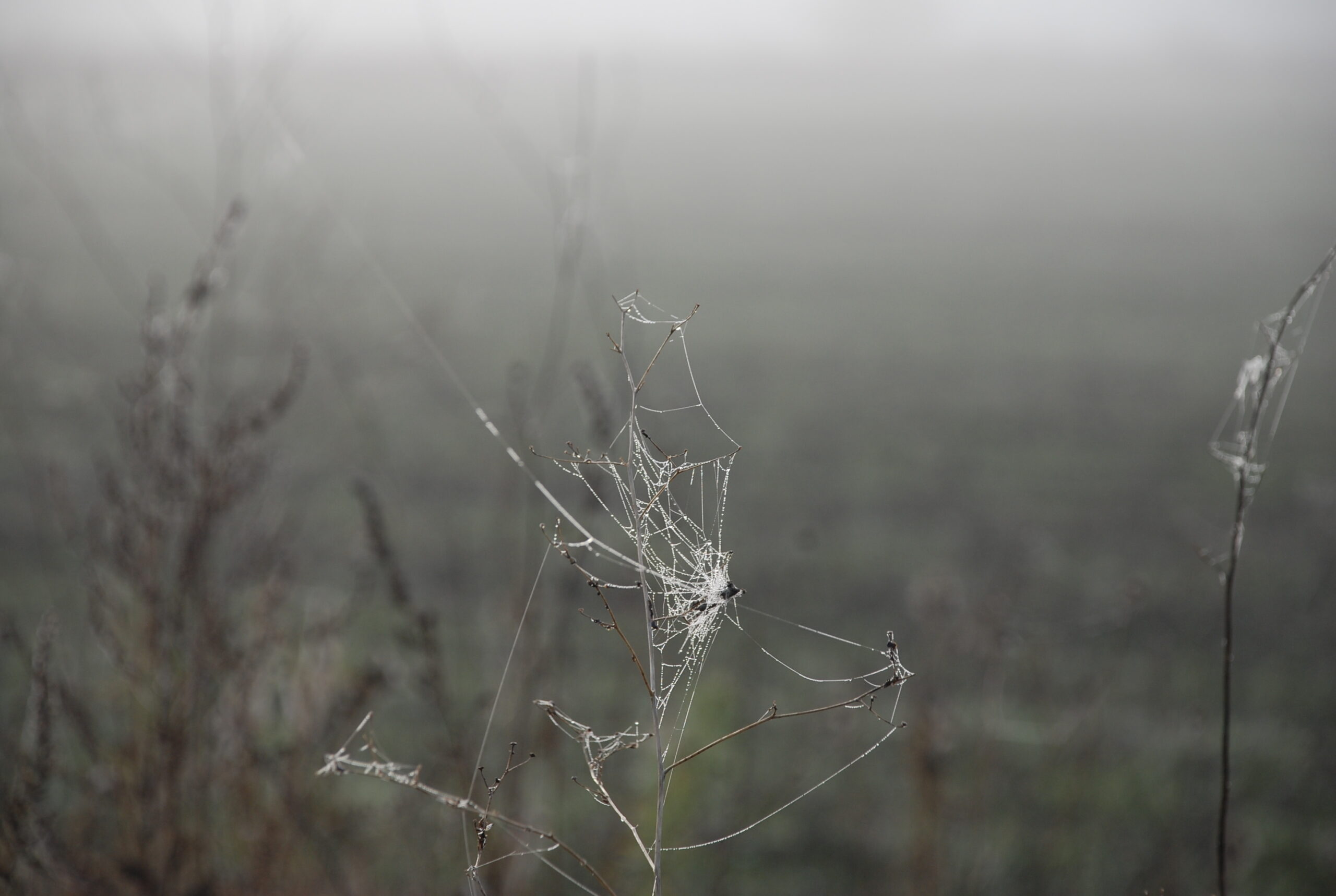 Λόγω ημερών ……..