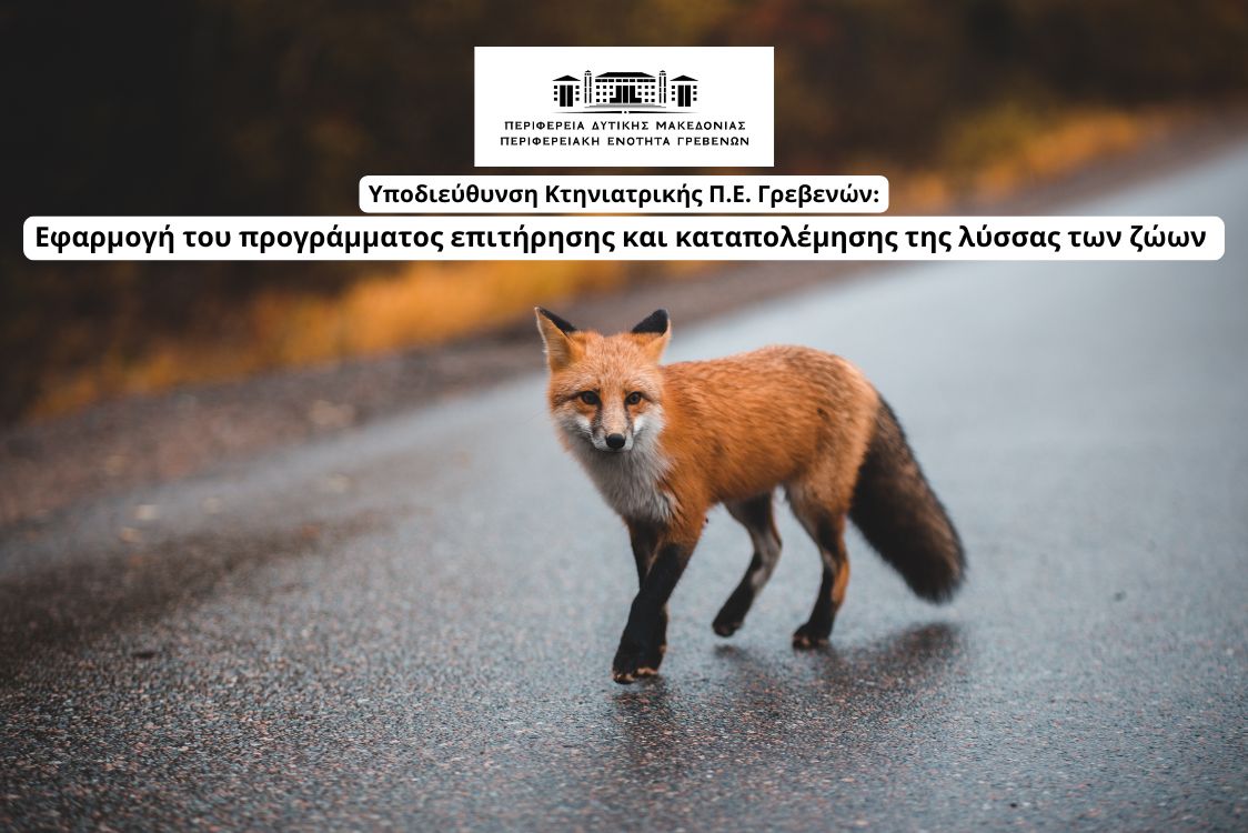 Ξεκινά η από αέρος διανομή αντιλυσσικών εμβολίων-δολωμάτων για τον εμβολιασμό ζώων της άγριας πανίδας.