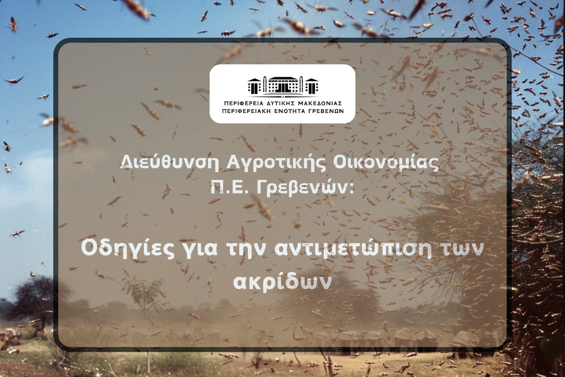 Οδηγίες για την αντιμετώπιση των ακρίδων