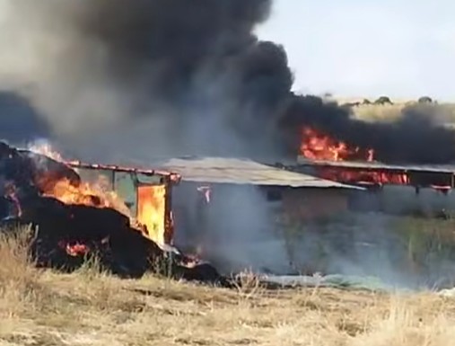 Στις φλόγες κτηνοτροφική μονάδα στο Παλαιοχώρι 