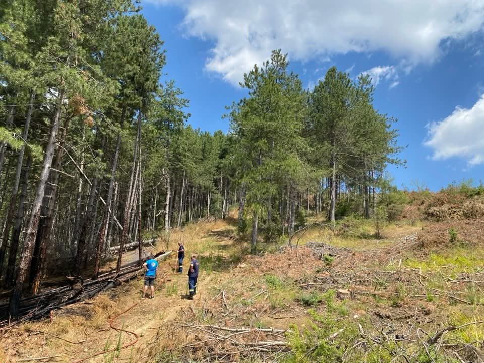Φωτιά στο περιαστικό δάσος βόρεια της Δεσκάτης