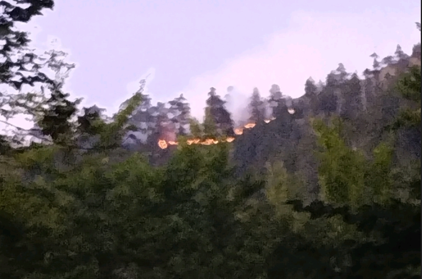 Φωτιά στον εθνικό δρυμό της Βάλια κάλντα