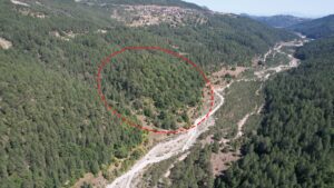 Αρχαιολογικό Πρόγραμμα Φιλιππαίων