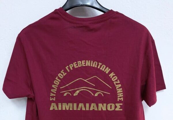 Ευχαριστήριο Συλλόγου Γρεβενιωτών Κοζάνης στον Ιωάννη Θεοδωρίδη.