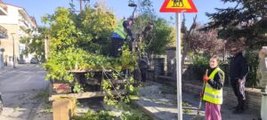 Δήμος Γρεβενών: Εργασίες κλάδευσης στις οδούς πέριξ της Πλατείας Ελευθερίας (Λαχαναγορά) την Τρίτη 2/12.