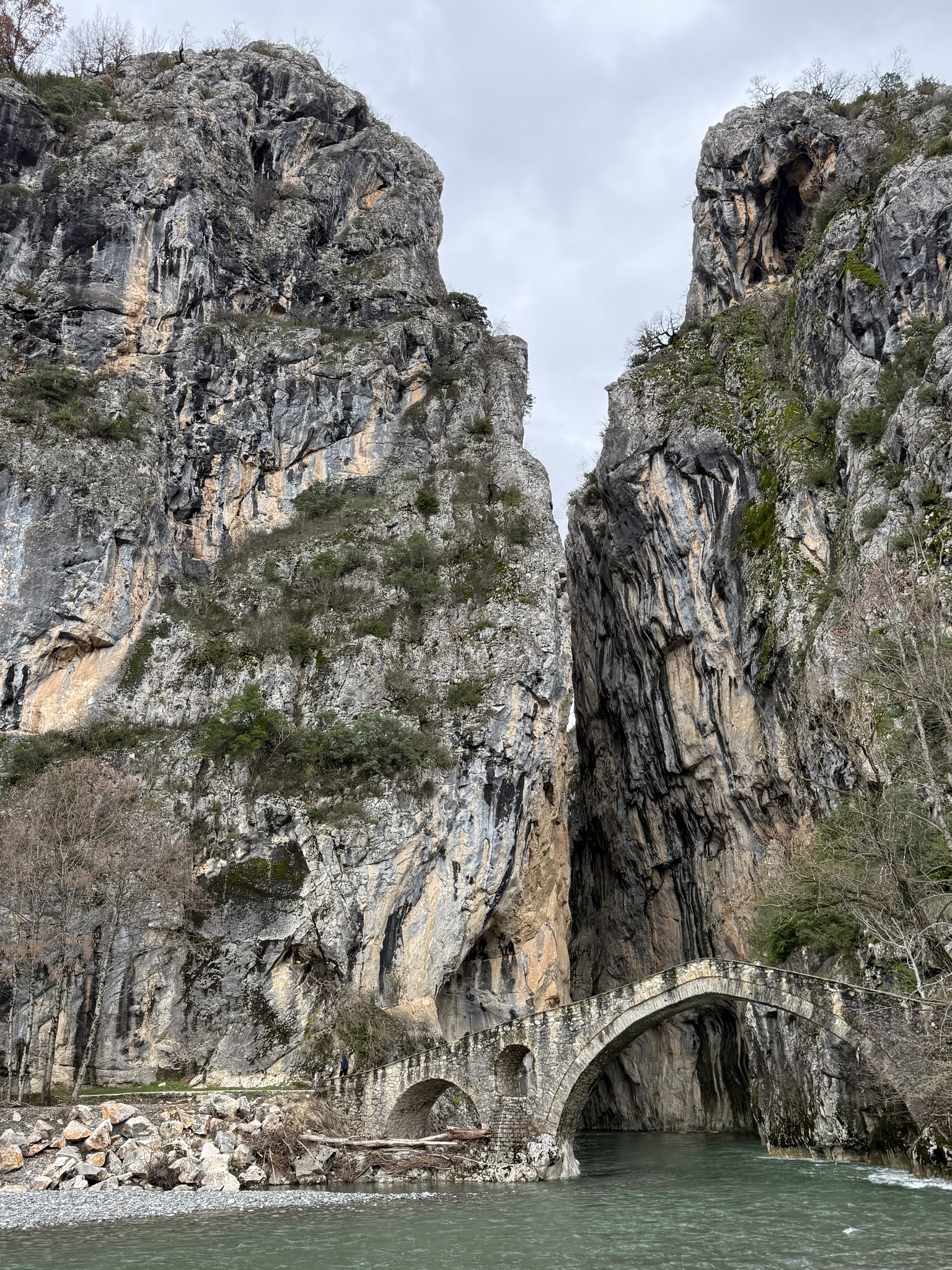 Διεθνής προβολή της Περιφέρειας Δυτικής Μακεδονίας μέσω του Πρότυπου Δάσους Δυτικής Μακεδονίας