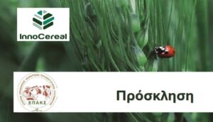 Ανοικτή ημερίδα αγρού (Field day)