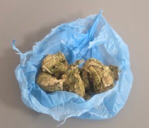 Συνελήφθη 19χρονος ημεδαπός για κατοχή ναρκωτικών