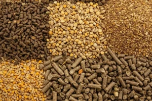 Νέα Ψηφιακή Υπηρεσία: Αίτηση για εισαγωγή ζωοτροφών