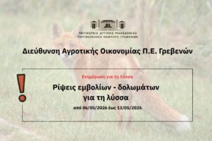 Ρίψη εμβολίων-δολωμάτων κατά της λύσσας.
