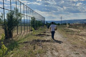 Ευχαριστήρια επιστολή προς την Περιφερειακή Ενότητα Γρεβενών για τη στήριξη της δενδροφύτευσης στο γήπεδο Παλιουριάς