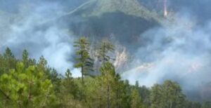 Φωτιά στα Γρεβενά: Μάχη με τις φλόγες σε δύσβατη και δυσπρόσιτη δασική περιοχή