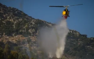 Νέα φωτιά από κεραυνό σε δασική έκταση στο Δίστρατο